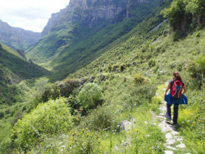 trekking in Zagori and the National and Geopark of Vikos-Aoos